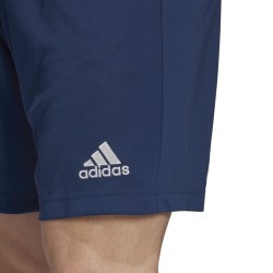 Trenýrky adidas Entrada 22