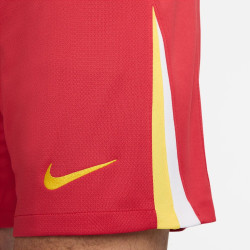 Trenky Nike Liverpool FC domácí 2024/2025