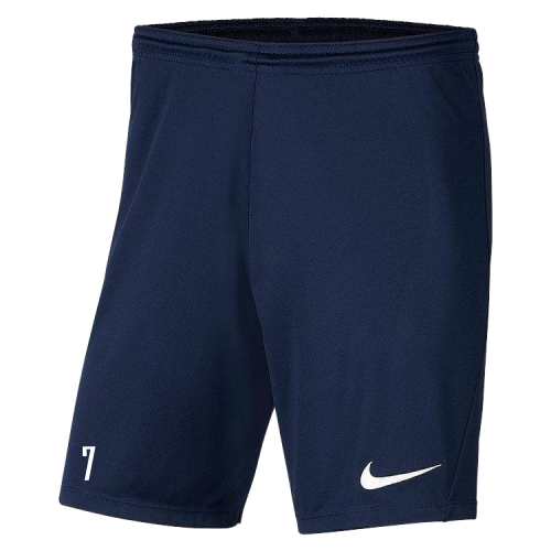 Dětské tréninkové šortky Nike Park III FC Háje