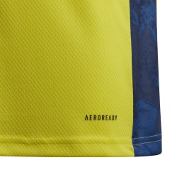 Dětský brankářský dres adidas AdiPro 20