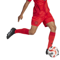 Trenky adidas FC Bayern Mnichov domácí 2024/2025