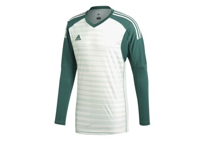 Dětský brankářský dres adidas AdiPro 18