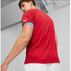 Dres Puma Česká Republika domácí 2022