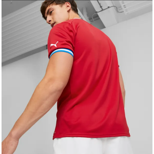 Dres Puma Česká Republika domácí 2022