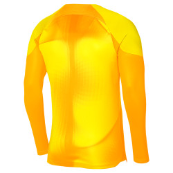 Brankářský dres Nike Gardien IV dlouhý rukáv