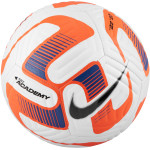 10x Fotbalový míč Nike Academy