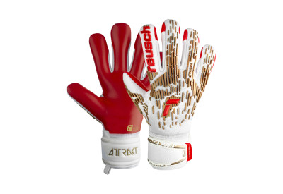 Brankářské rukavice Reusch Attrakt Freegel Silver
