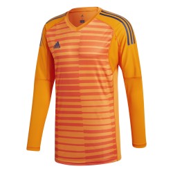 Dětský brankářský dres adidas AdiPro 18