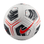 10x Fotbalový míč Nike Academy Plus